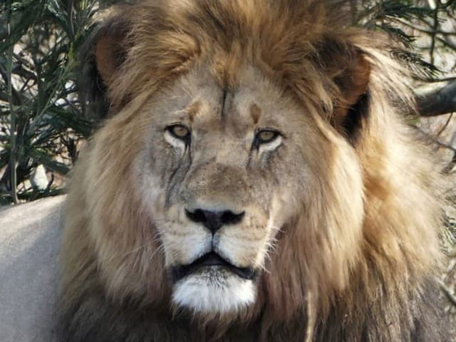 Garden Route| South Africa