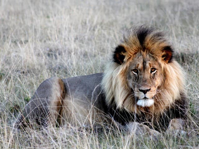 Garden Route| South Africa