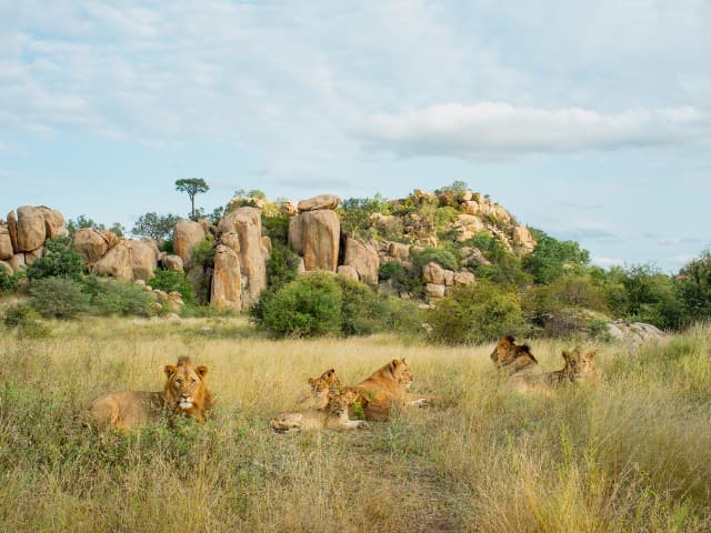 Garden Route| South Africa