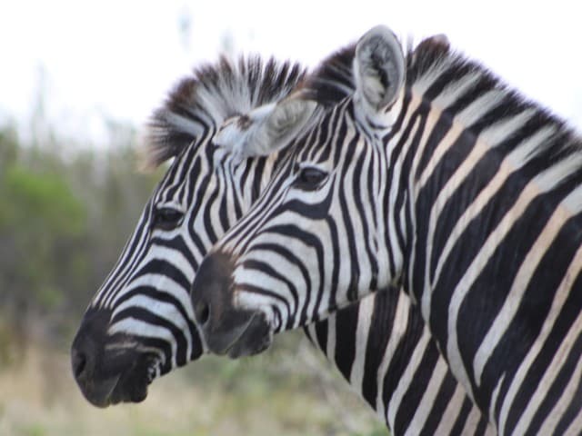 Garden Route| South Africa