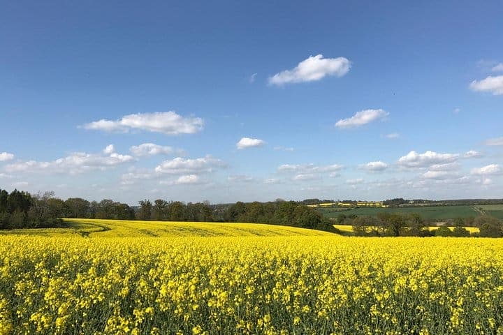 Cotswolds Villages Full-Day Small-Group Tour from Oxford