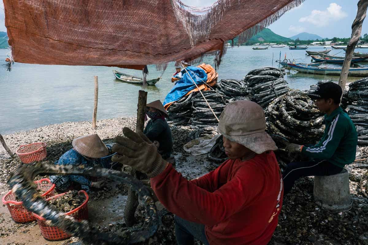 Hai Van Pass Horizons Photo Tour | Vietnam