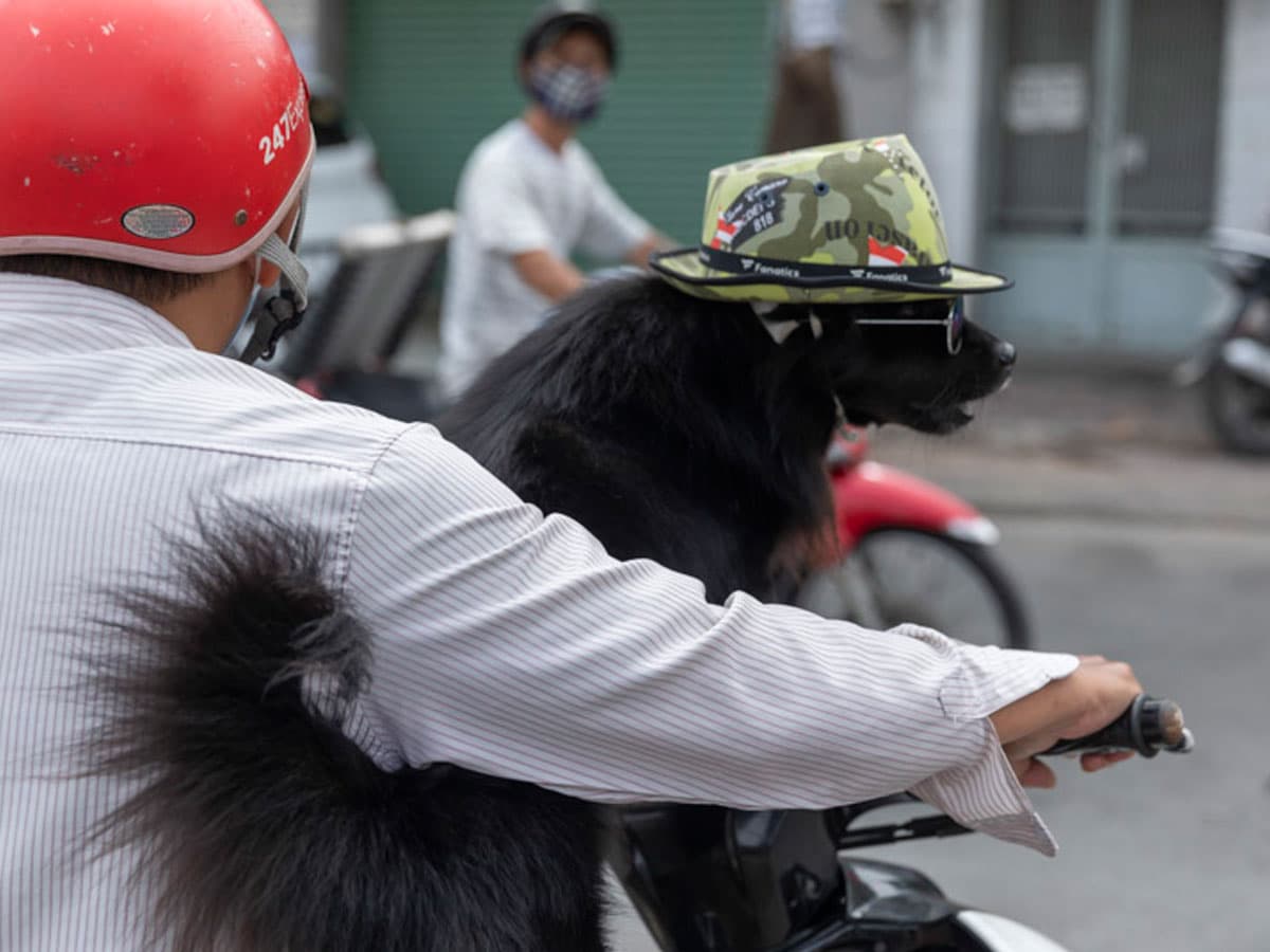 Ultimate Saigon Photography Tour