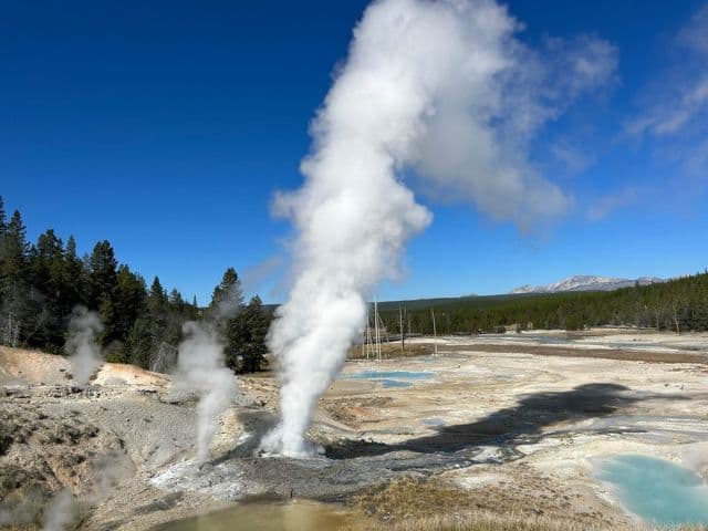 Full-Day Guided Yellowstone Day Tour