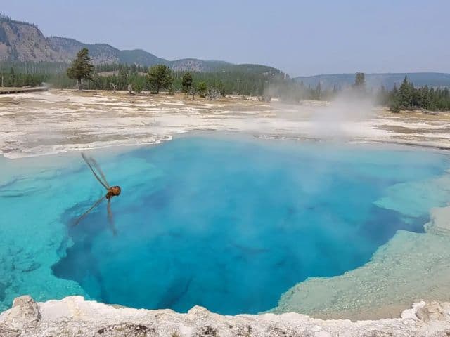 Full-Day Guided Yellowstone Day Tour