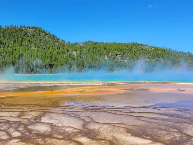 Full-Day Guided Yellowstone Day Tour