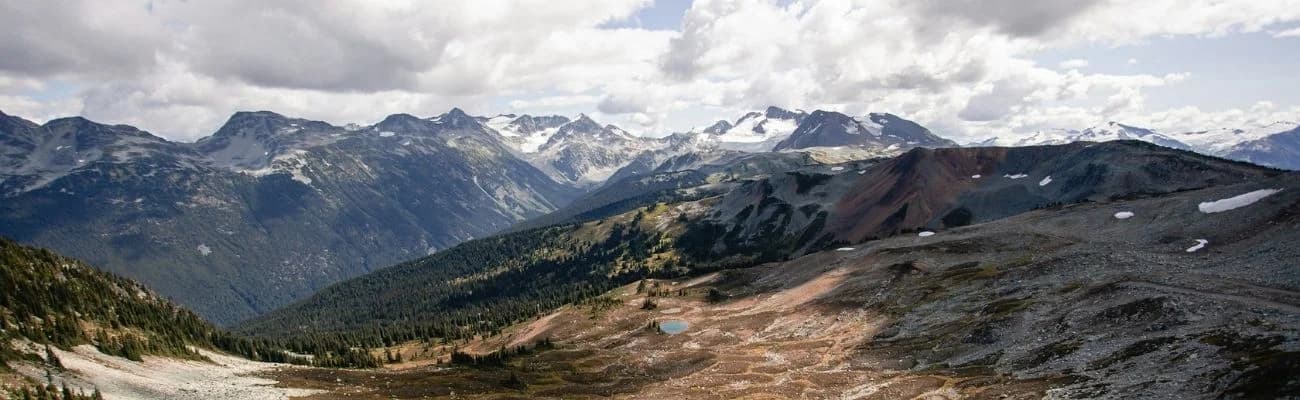 Whistler