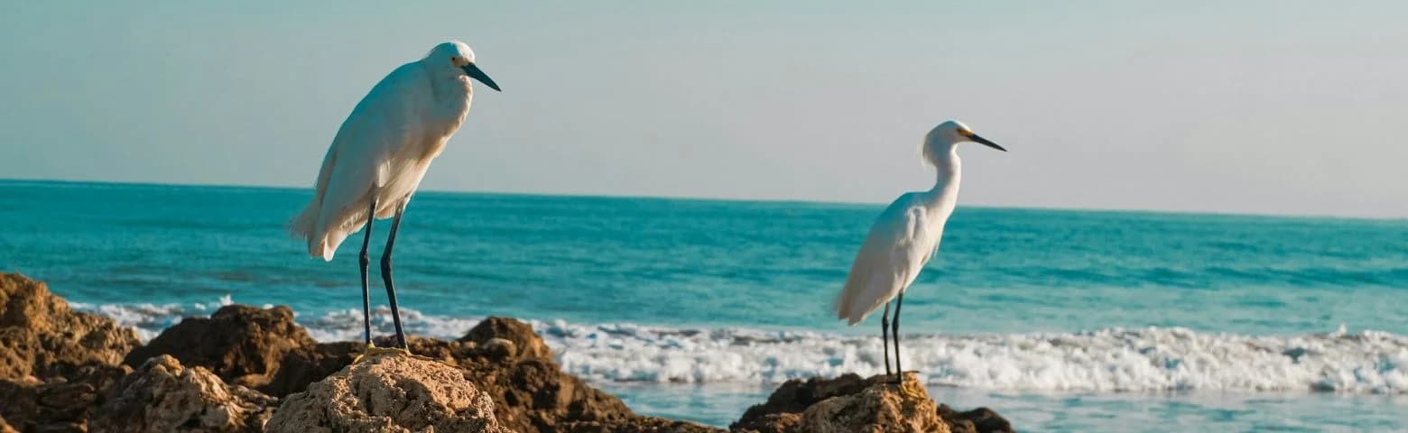 Cartagena