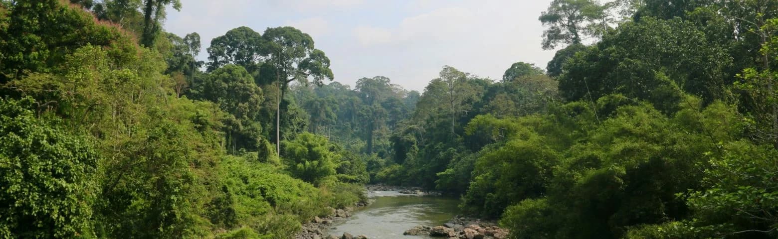 Sabah, Borneo