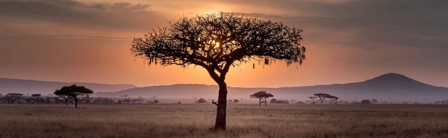 Tanzania