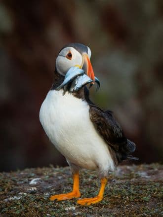 Founded by conservationists