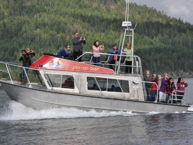 4 Hour Whale and Wildlife Covered Boat Tour | Vancouver Island