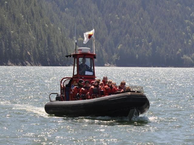 4 Hour Whale and Wildlife Zodiac Tour | Vancouver Island