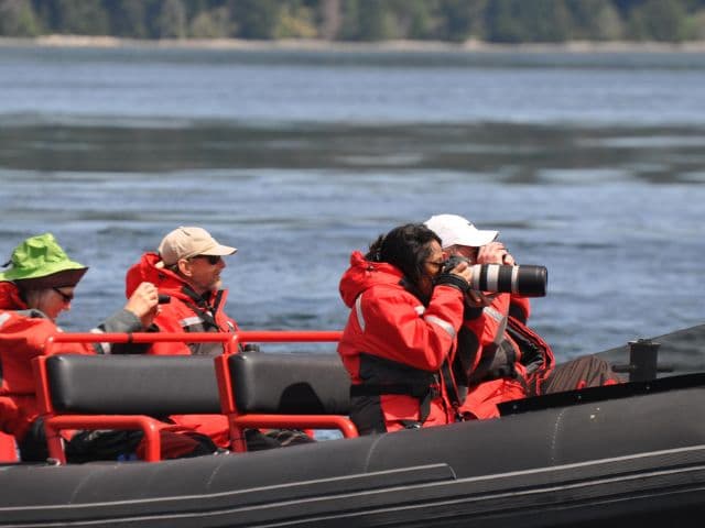 6 Hour Whale Watching Open Zodiac Tour | Vancouver Island
