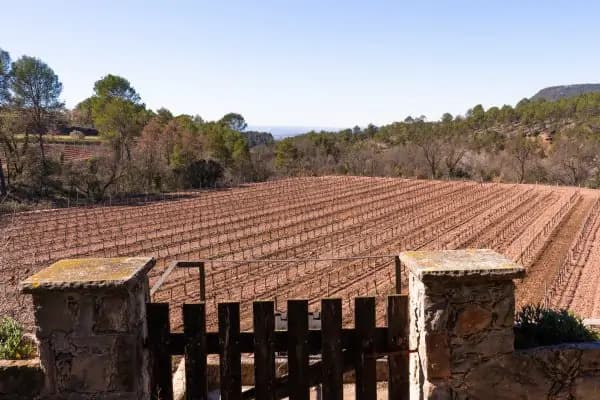 Montserrat Full Day Tour with Farmhouse Lunch and Winery Visit