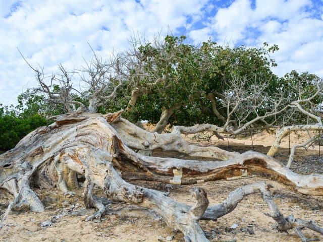 Hiking at the Fox Canyon