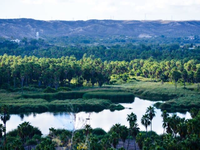 Hiking at the Fox Canyon