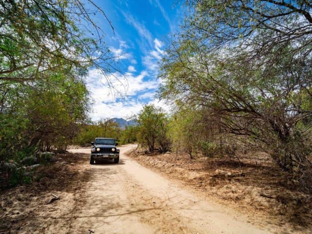 Private Tour Baja Jeep 4x4 Adventure at Los Cabos