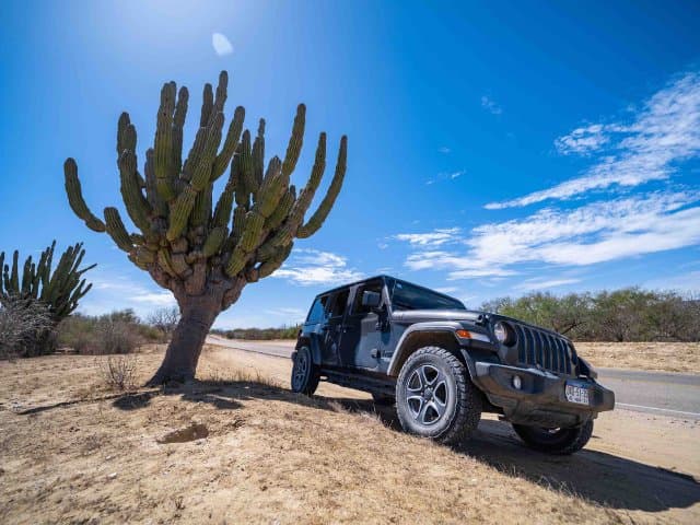 Private Tour Baja Jeep 4x4 Adventure at Los Cabos
