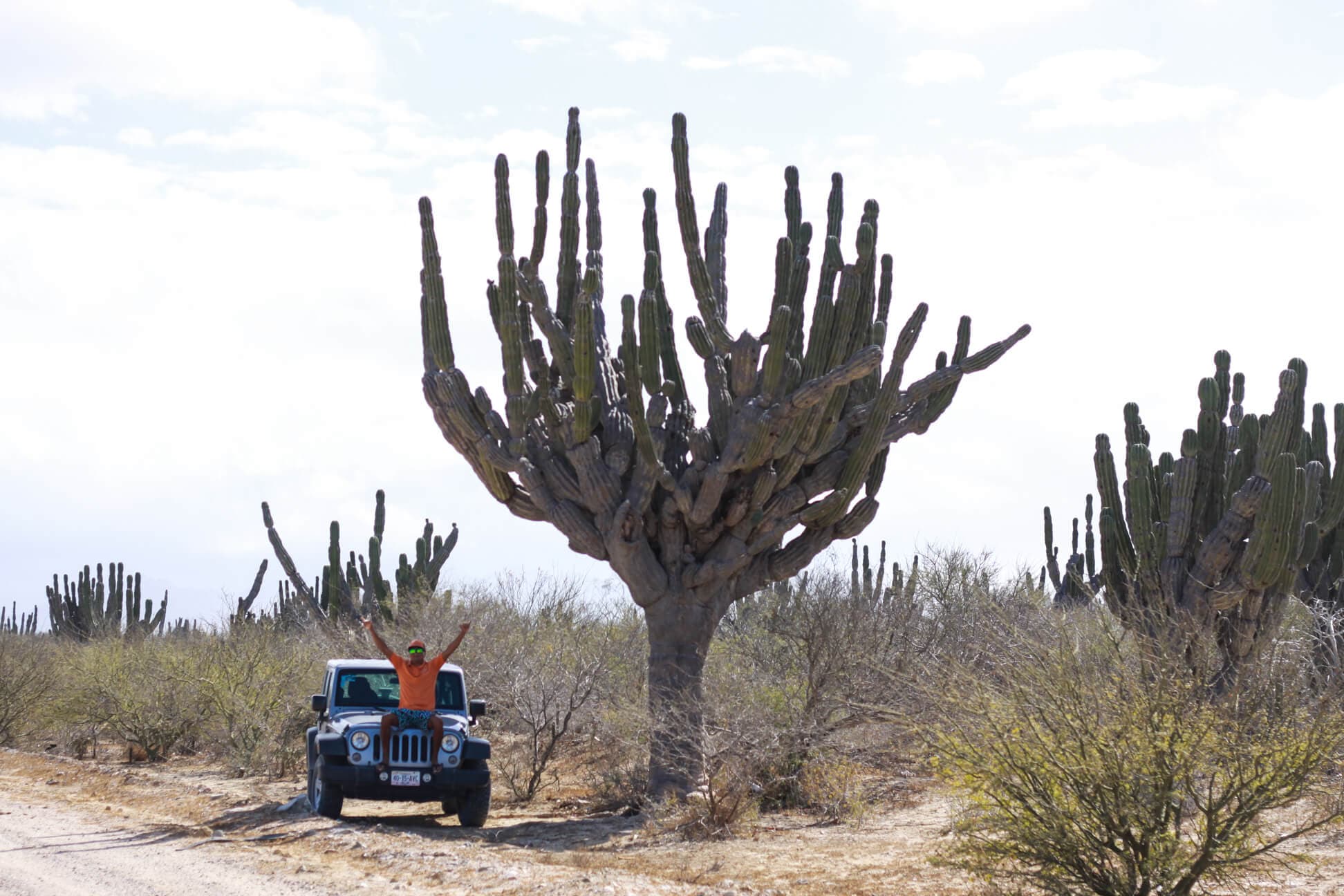 Private Tour Baja Jeep 4x4 Adventure at Los Cabos