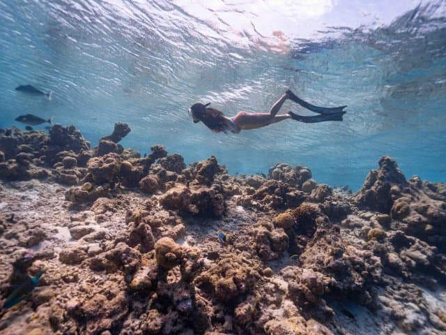 Private Glass bottom Kayak and snorkel at two Bays, Los Cabos