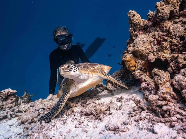 Private Jeep Tour Cabo Pulmo | Depart Cabo San Lucas