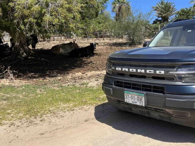 Private Todos Santos Jeep Tour | Depart Cabo San Lucas