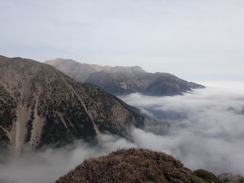 White Mountains Safari Tour with Tastings & Lunch | Crete