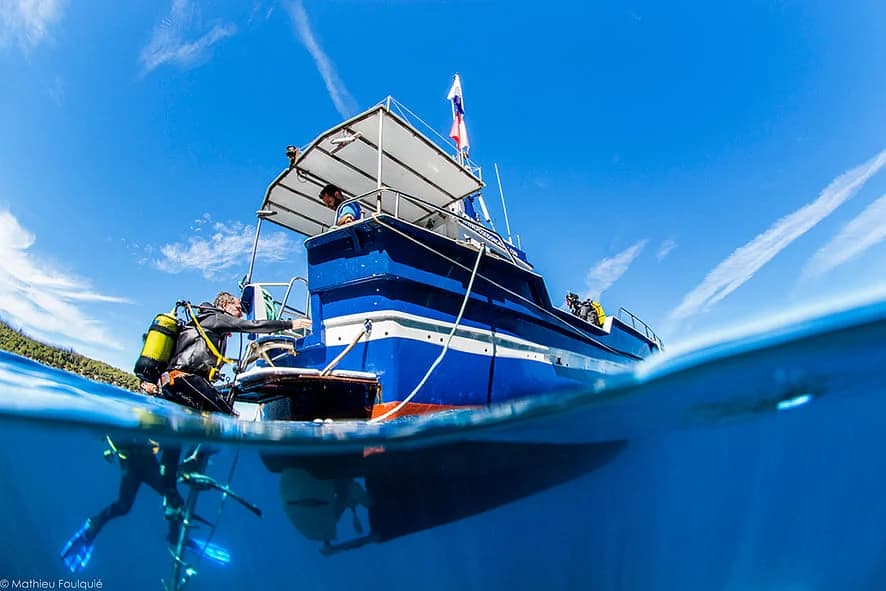 PADI Open Water Diver - First diving brevet | Girona, Spain