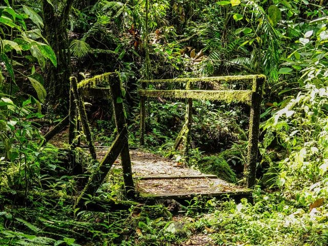 Children's Eternal Rainforest Expedition, La Fortuna