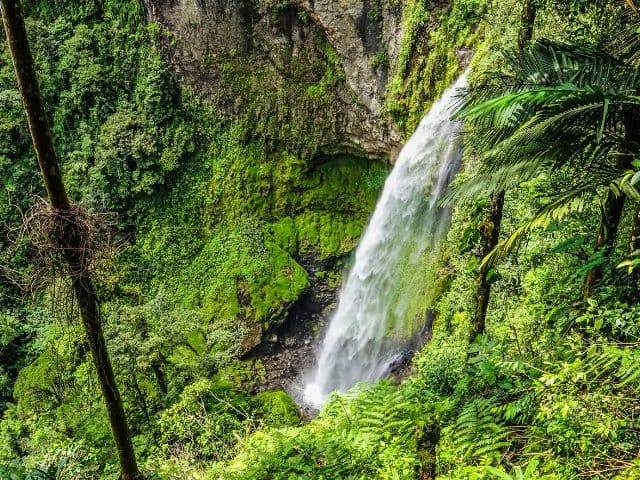 Children's Eternal Rainforest Expedition, La Fortuna