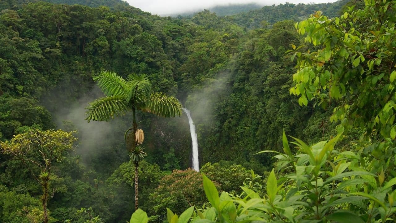 La Fortuna Waterfall Hike