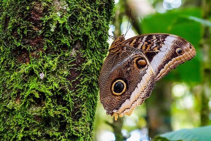 La Fortuna Waterfall Hike