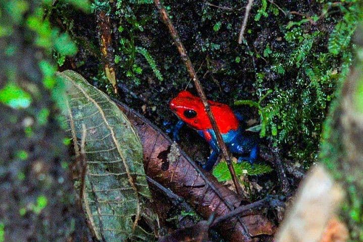 La Fortuna Waterfall Hike