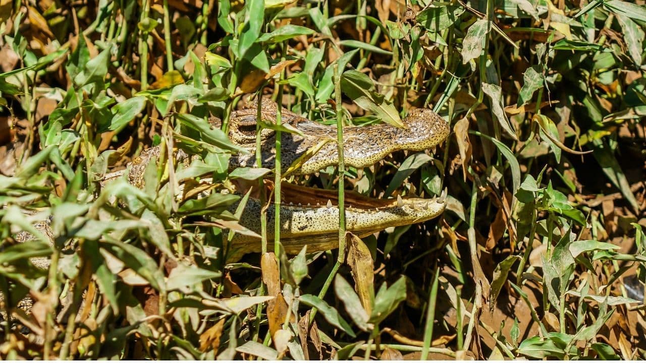 Pure Nature Safari Float | La Fortuna