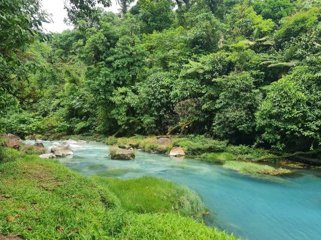 Río Celeste Rainforest Hike, La Fortuna