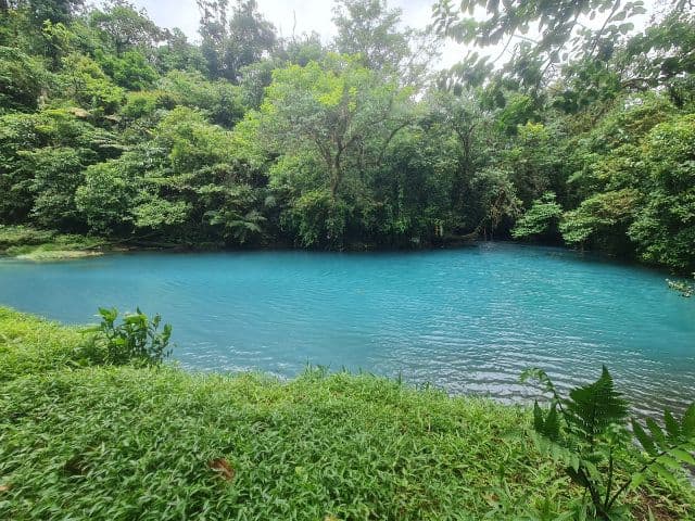 Río Celeste Rainforest Hike, La Fortuna
