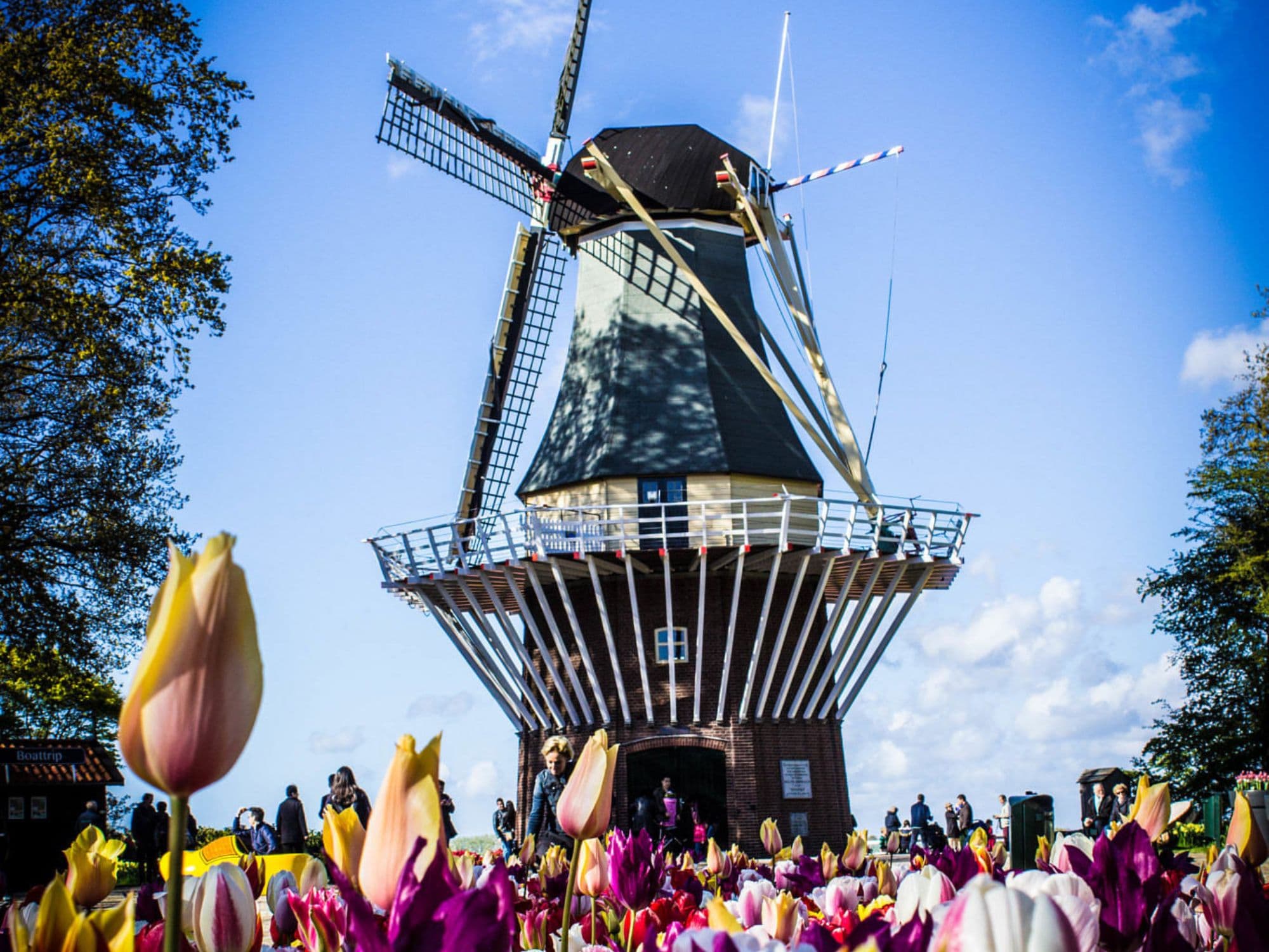 Small Group Amsterdam Bike Tour