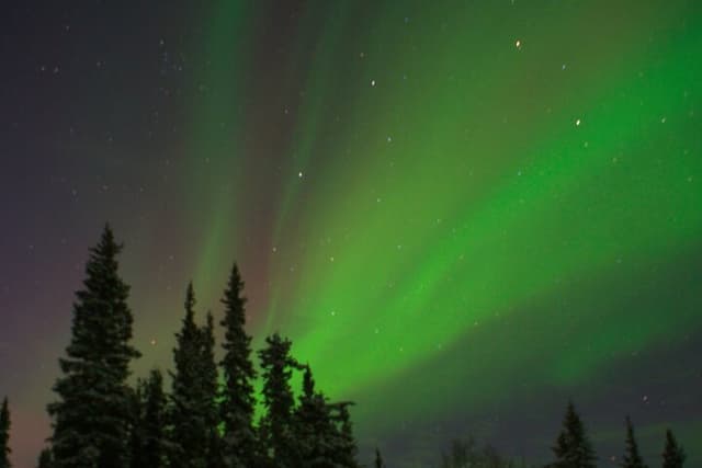 Northern Lights Aurora Tour with free Photography | Fairbanks