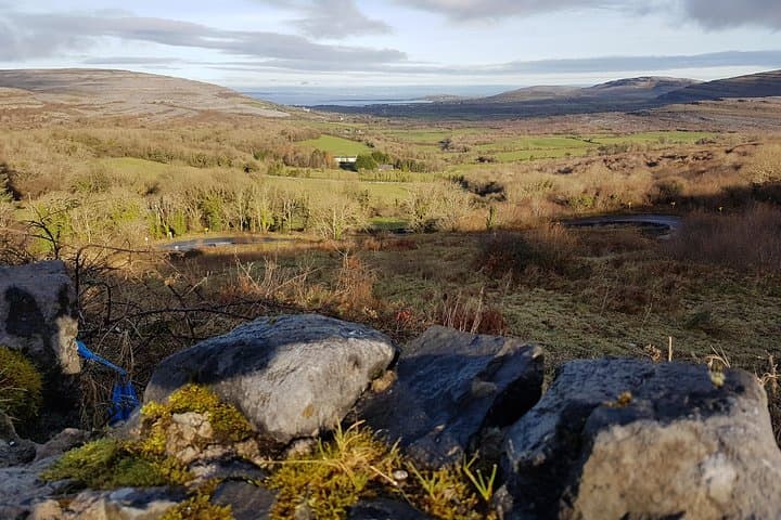 Cliffs of Moher & Burren Day Tour | Galway, Ireland