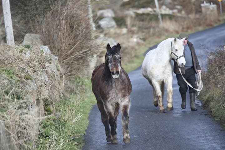 Connemara Tour with Kylemore Abbey | Galway, Ireland