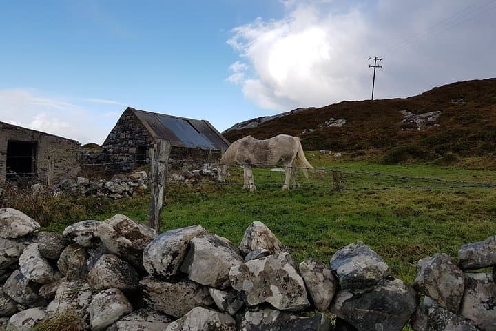 Connemara Day Tour with Connemara National Park | Galway, Ireland