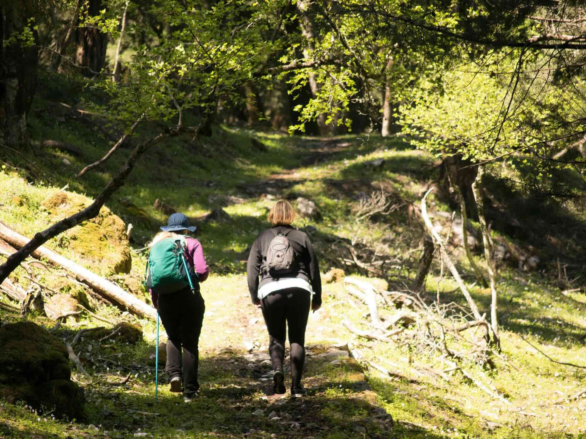 Hiking Tour Profitis Ilias Mountain
