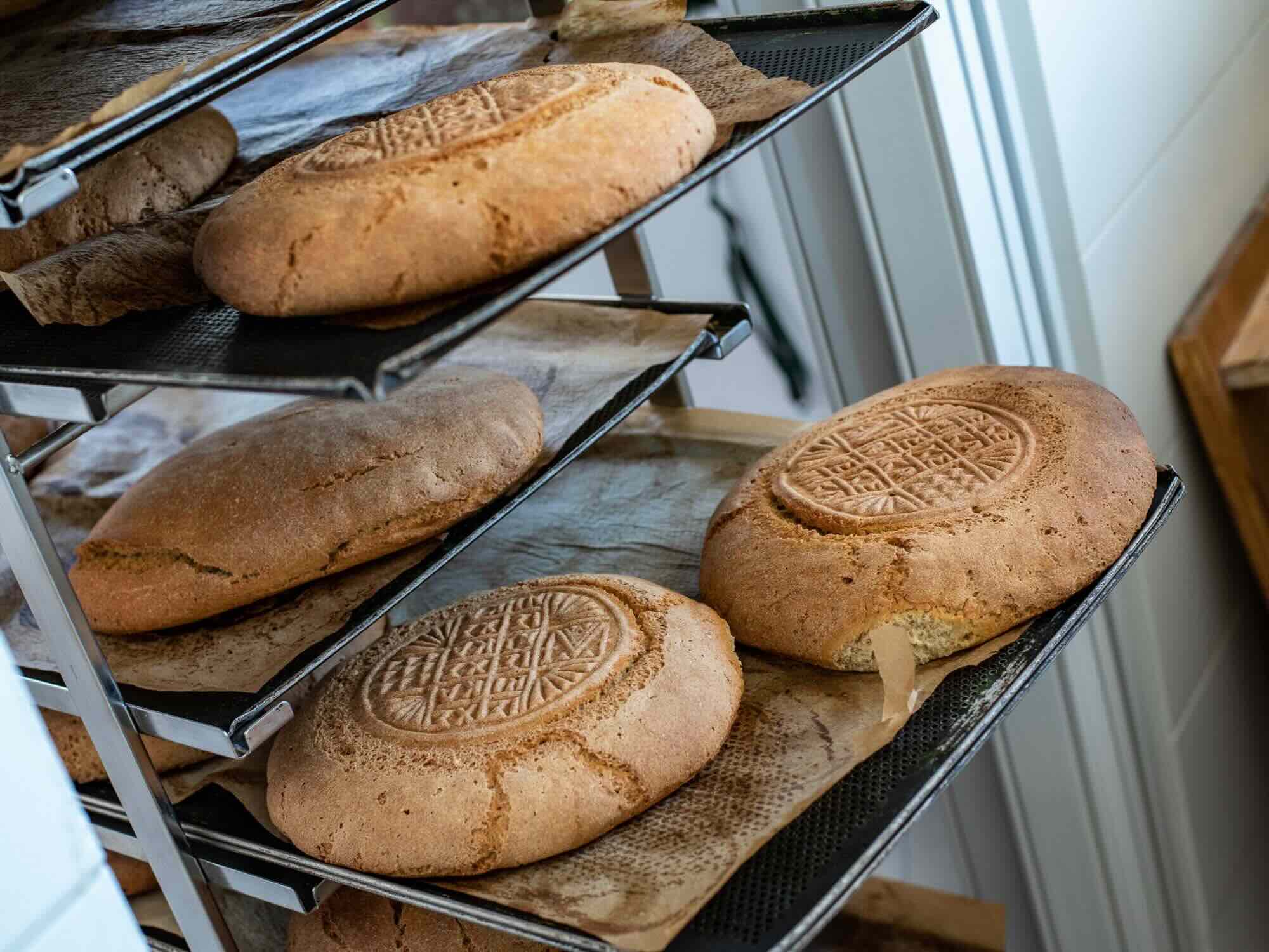 Tasting Rhodes - wine tasting, cooking class and coffe making