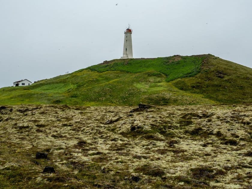 Icelandic Volcano Area Tour - Grindavík Town, Reykjanes Lava Fields and Hot Springs