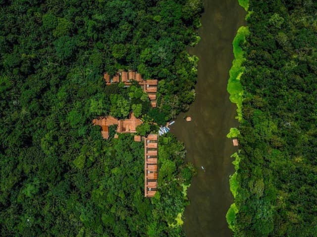 Welcome to the Jungle - 3-day excursion at Peruvian Amazon