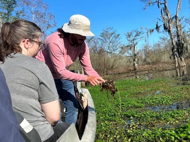 Two Hour Guided Eco-Swamp Tour | Louisiana