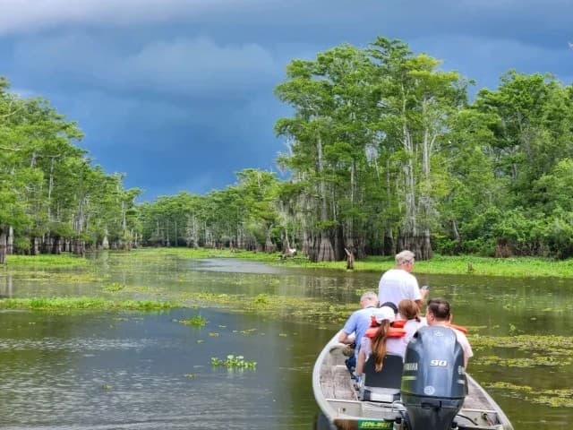 Two Hour Guided Eco-Swamp Tour | Louisiana