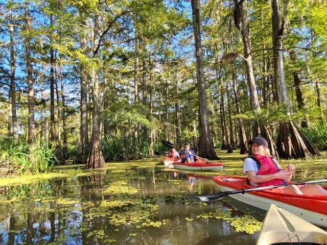 The Last Wilderness Kayak Tour | Louisiana
