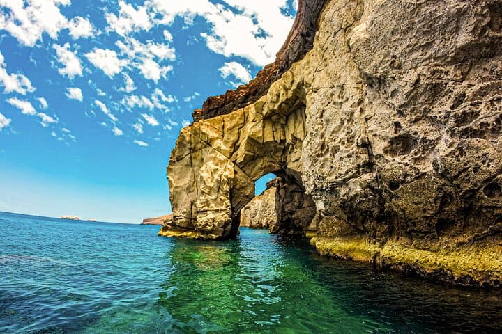 Espíritu Santo & Balandra Beach Combo Tour: Sea Lion Snorkelling